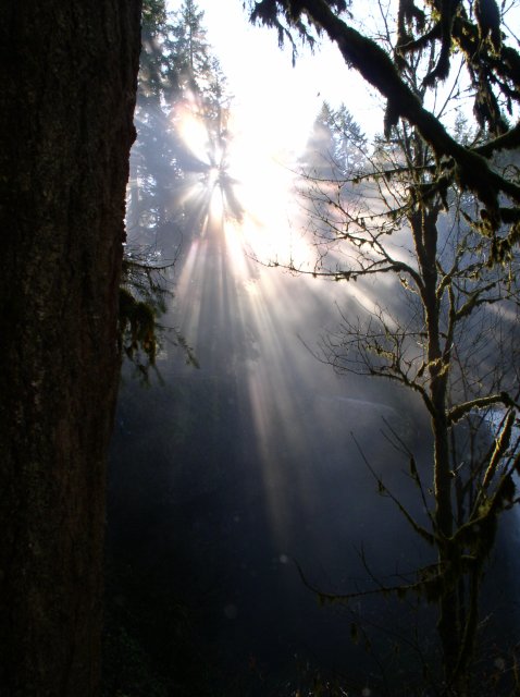 Silver Falls 12.10.05 002 